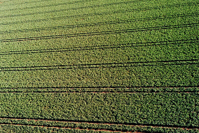 Landwirtschaftlice Nutzfläche